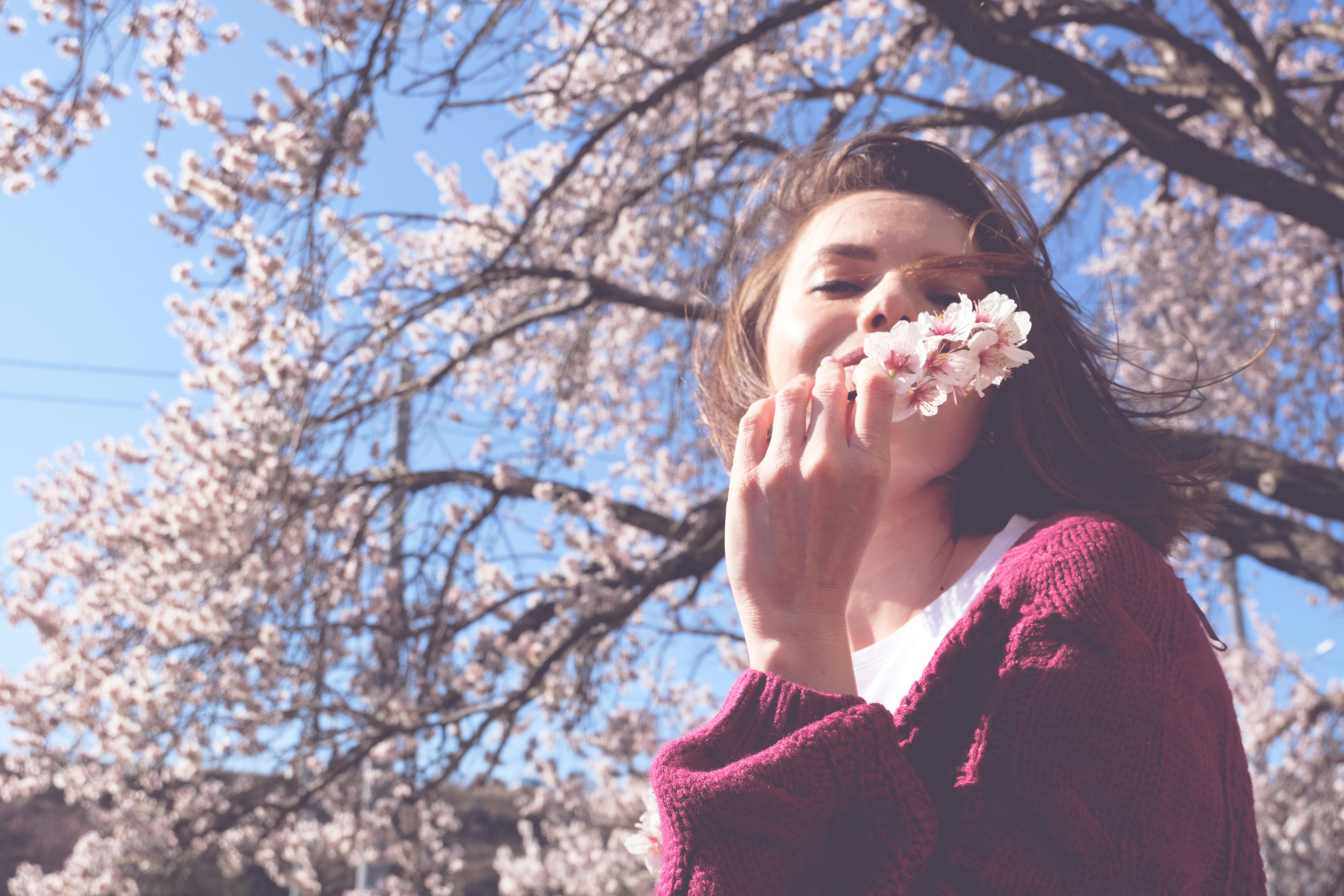 Seasonal Allergies
